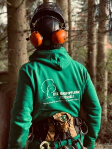 Back view of a lumberjack in safety gear working in a forest in Regenstauf, Germany.