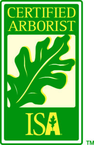 bucks county certified arborist