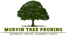 Morvin Tree Pruning